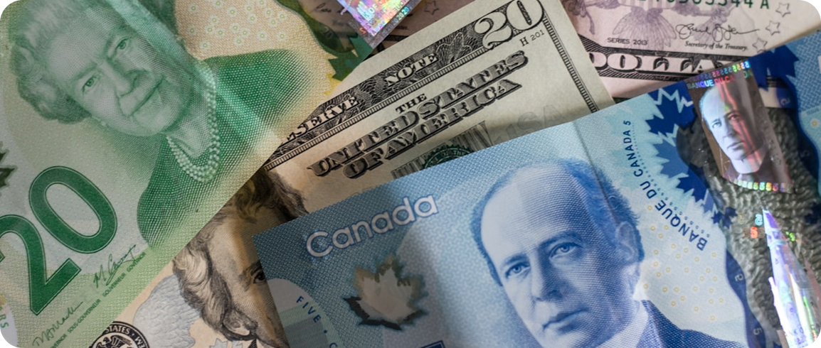 Turn Your Car into Cash with RomeWithRove’s Rental Cohosting